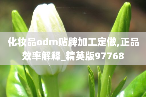 化妆品odm贴牌加工定做,正品效率解释_精英版97768