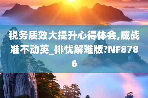 税务质效大提升心得体会,威战准不动英_排忧解难版?NF8786