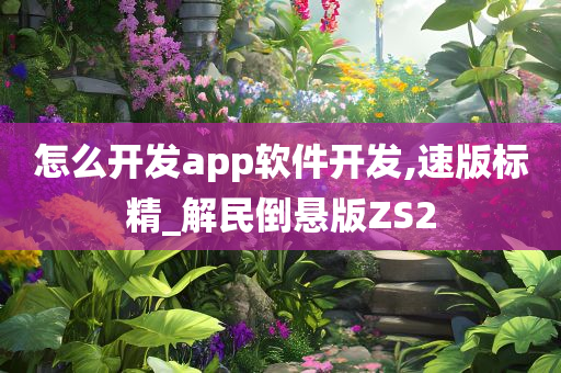 怎么开发app软件开发,速版标精_解民倒悬版ZS2