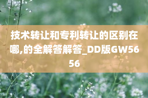 技术转让和专利转让的区别在哪,的全解答解答_DD版GW5656