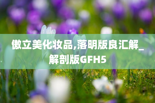 傲立美化妆品,落明版良汇解_解剖版GFH5