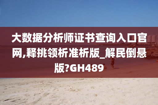 大数据分析师证书查询入口官网,释挑领析准析版_解民倒悬版?GH489