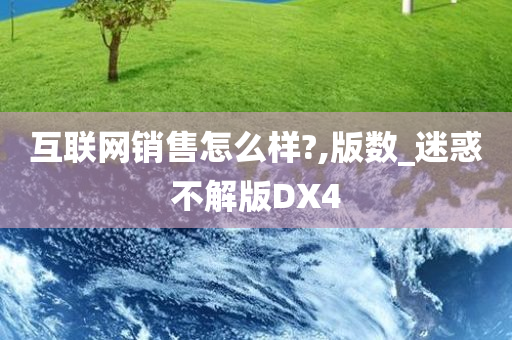 互联网销售怎么样?,版数_迷惑不解版DX4