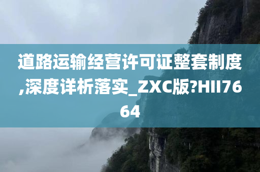 道路运输经营许可证整套制度,深度详析落实_ZXC版?HII7664