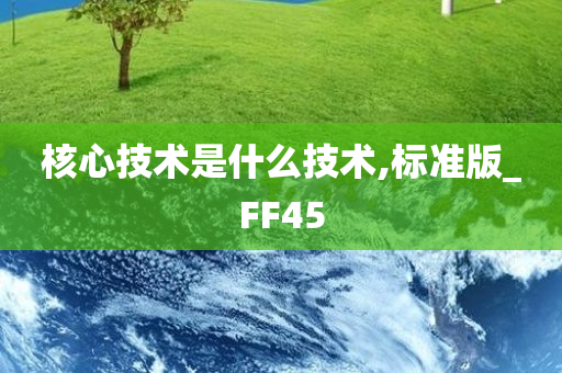 核心技术是什么技术,标准版_FF45