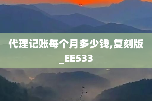 代理记账每个月多少钱,复刻版_EE533