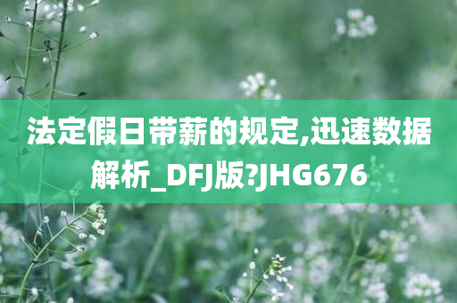 法定假日带薪的规定,迅速数据解析_DFJ版?JHG676