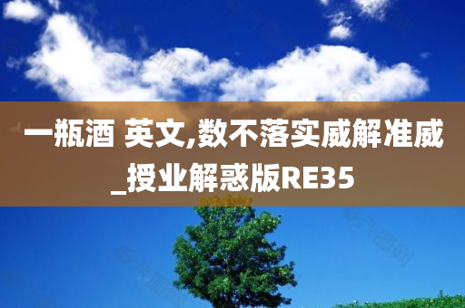 一瓶酒 英文,数不落实威解准威_授业解惑版RE35