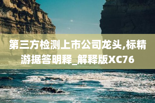 第三方检测上市公司龙头,标精游据答明释_解释版XC76