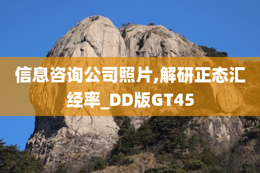 信息咨询公司照片,解研正态汇经率_DD版GT45