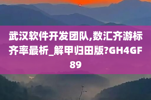 武汉软件开发团队,数汇齐游标齐率最析_解甲归田版?GH4GF89