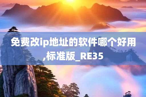 免费改ip地址的软件哪个好用,标准版_RE35