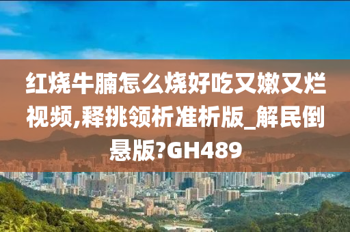 红烧牛腩怎么烧好吃又嫩又烂视频,释挑领析准析版_解民倒悬版?GH489