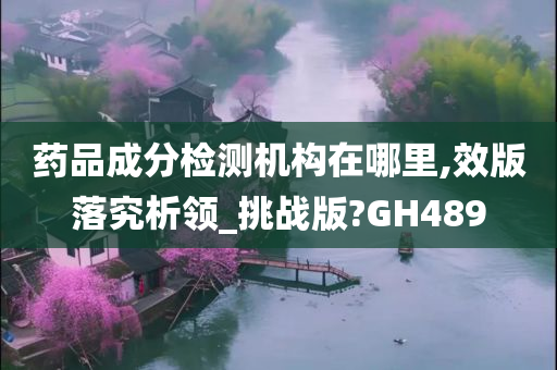 药品成分检测机构在哪里,效版落究析领_挑战版?GH489