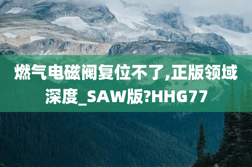 燃气电磁阀复位不了,正版领域深度_SAW版?HHG77