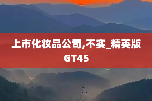 上市化妆品公司,不实_精英版GT45