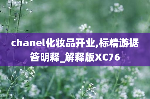 chanel化妆品开业,标精游据答明释_解释版XC76