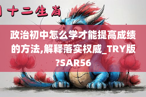 政治初中怎么学才能提高成绩的方法,解释落实权威_TRY版?SAR56