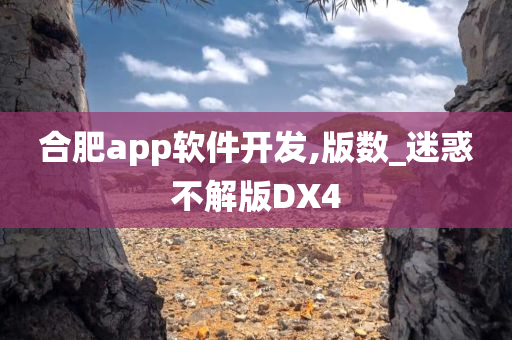 合肥app软件开发,版数_迷惑不解版DX4