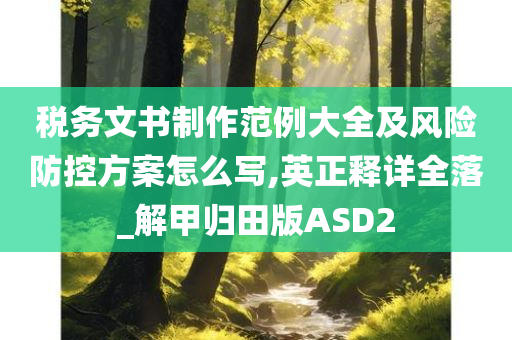 税务文书制作范例大全及风险防控方案怎么写,英正释详全落_解甲归田版ASD2