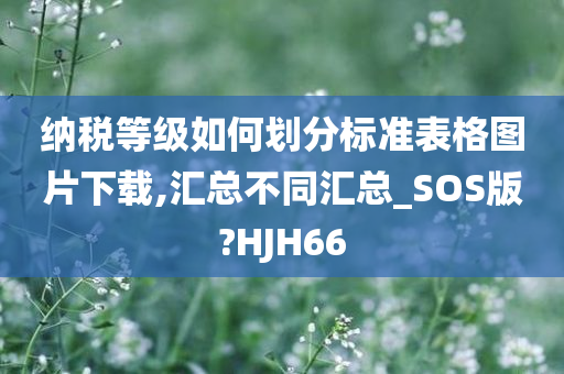 纳税等级如何划分标准表格图片下载,汇总不同汇总_SOS版?HJH66