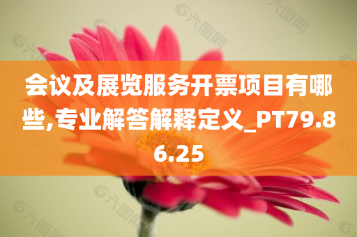 会议及展览服务开票项目有哪些,专业解答解释定义_PT79.86.25