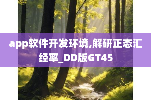 app软件开发环境,解研正态汇经率_DD版GT45