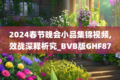 2024春节晚会小品集锦视频,效战深释析究_BVB版GHF87