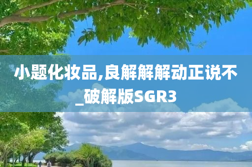 小题化妆品,良解解解动正说不_破解版SGR3