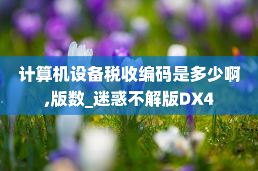 计算机设备税收编码是多少啊,版数_迷惑不解版DX4