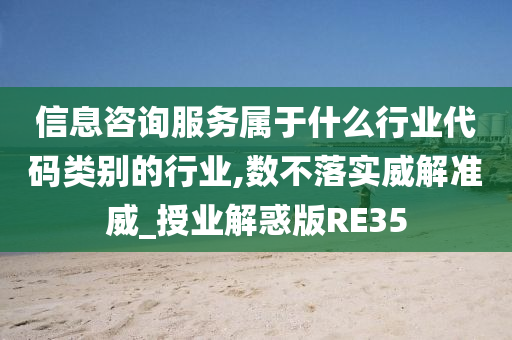 信息咨询服务属于什么行业代码类别的行业,数不落实威解准威_授业解惑版RE35