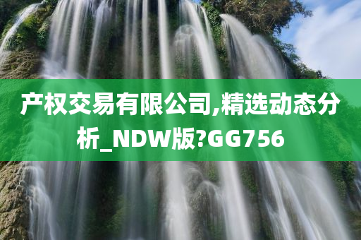 产权交易有限公司,精选动态分析_NDW版?GG756