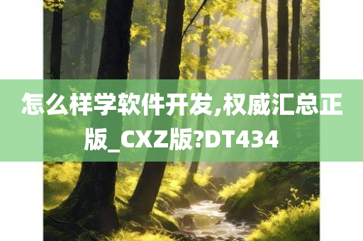 怎么样学软件开发,权威汇总正版_CXZ版?DT434