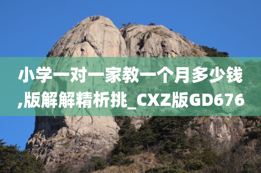 小学一对一家教一个月多少钱,版解解精析挑_CXZ版GD676