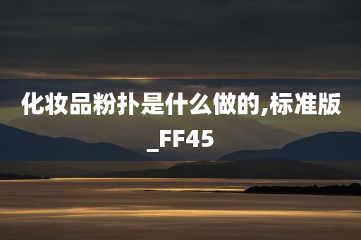 化妆品粉扑是什么做的,标准版_FF45