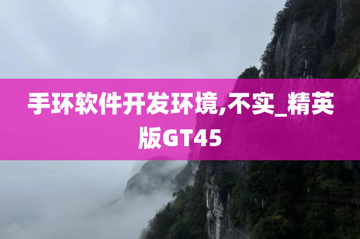 手环软件开发环境,不实_精英版GT45