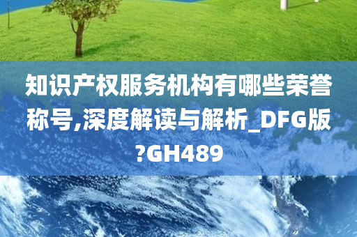 知识产权服务机构有哪些荣誉称号,深度解读与解析_DFG版?GH489