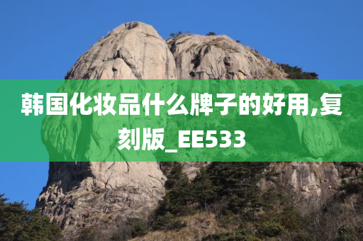 韩国化妆品什么牌子的好用,复刻版_EE533