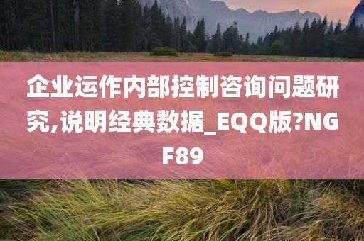 企业运作内部控制咨询问题研究,说明经典数据_EQQ版?NGF89