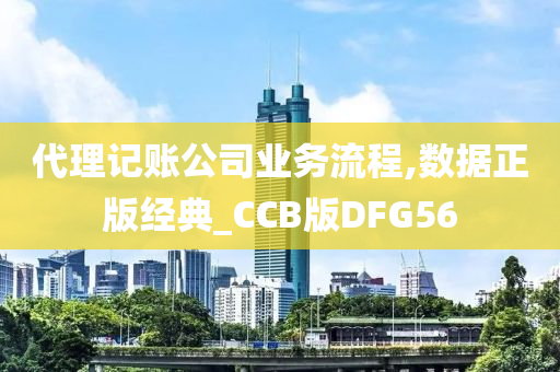 代理记账公司业务流程,数据正版经典_CCB版DFG56