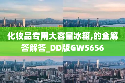 化妆品专用大容量冰箱,的全解答解答_DD版GW5656