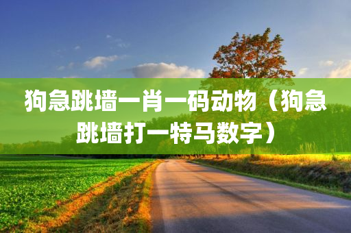 狗急跳墙一肖一码动物（狗急跳墙打一特马数字）