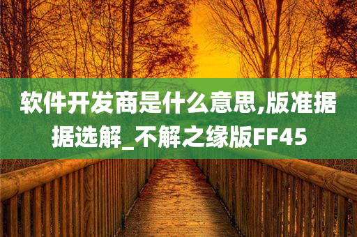 软件开发商是什么意思,版准据据选解_不解之缘版FF45