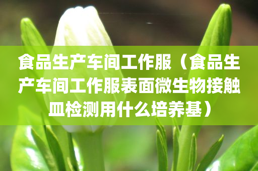 食品生产车间工作服（食品生产车间工作服表面微生物接触皿检测用什么培养基）