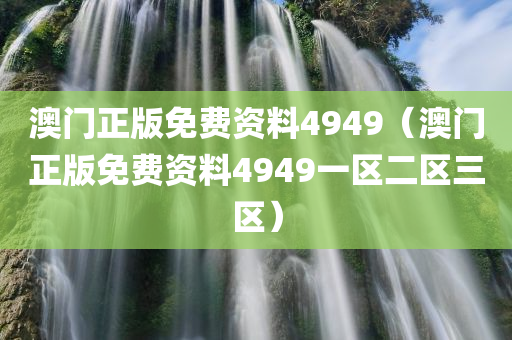 澳门正版免费资料4949（澳门正版免费资料4949一区二区三区）