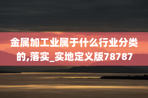 金属加工业属于什么行业分类的,落实_实地定义版78787