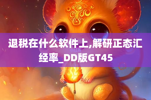 退税在什么软件上,解研正态汇经率_DD版GT45