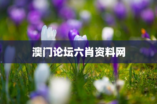 澳门论坛六肖资料网