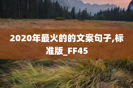 2020年最火的的文案句子,标准版_FF45