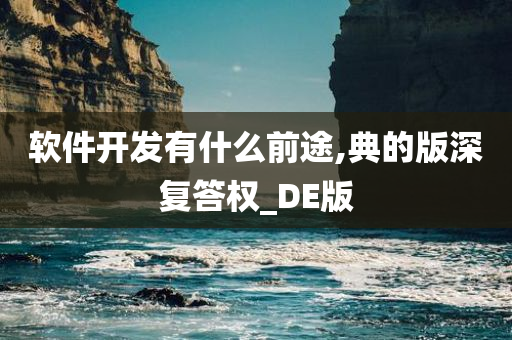 软件开发有什么前途,典的版深复答权_DE版